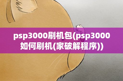 psp3000刷机包(psp3000如何刷机(家破解程序))