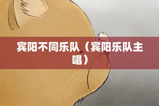宾阳不同乐队（宾阳乐队主唱）