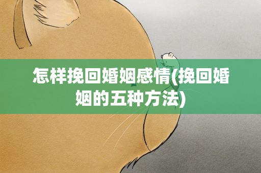 怎样挽回婚姻感情(挽回婚姻的五种方法)