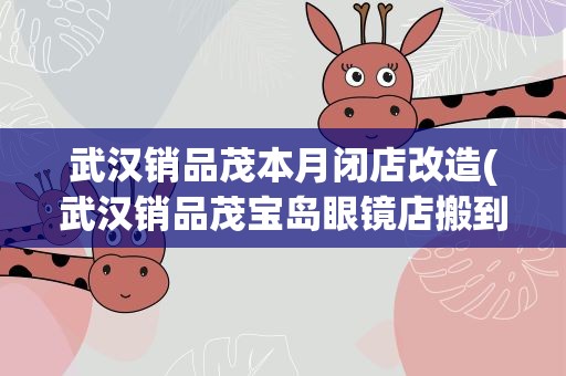 武汉销品茂本月闭店改造(武汉销品茂宝岛眼镜店搬到什么地方了)