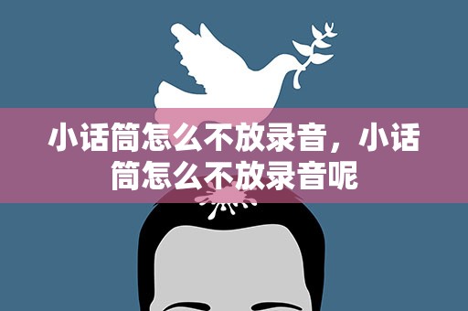 小话筒怎么不放录音，小话筒怎么不放录音呢