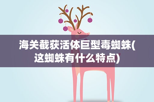 海关截获活体巨型毒蜘蛛(这蜘蛛有什么特点)