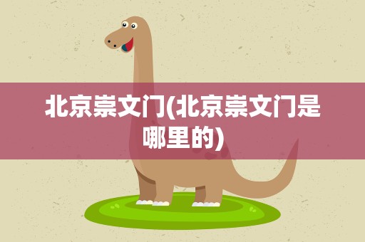 北京崇文门(北京崇文门是哪里的)