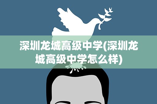 深圳龙城高级中学(深圳龙城高级中学怎么样)