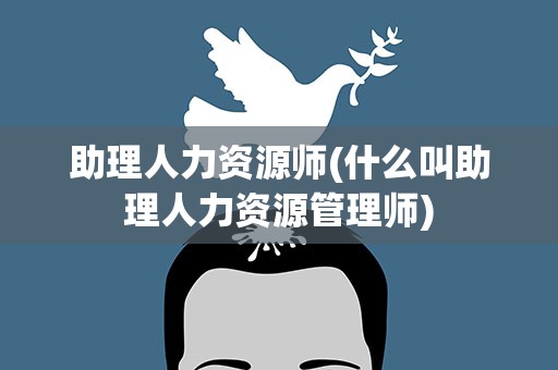 助理人力资源师(什么叫助理人力资源管理师)