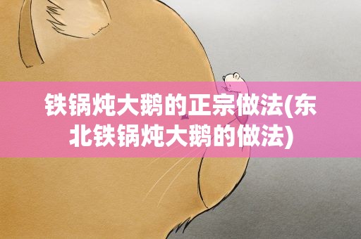铁锅炖大鹅的正宗做法(东北铁锅炖大鹅的做法)