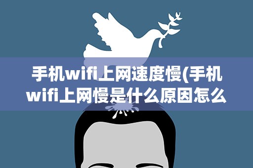 手机wifi上网速度慢(手机wifi上网慢是什么原因怎么解决)