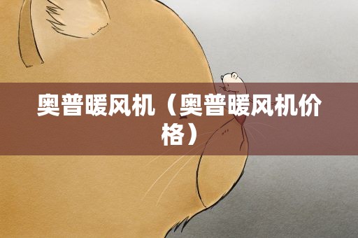 奥普暖风机（奥普暖风机价格）