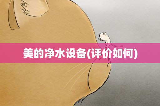 美的净水设备(评价如何)
