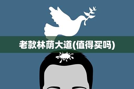 老款林荫大道(值得买吗)