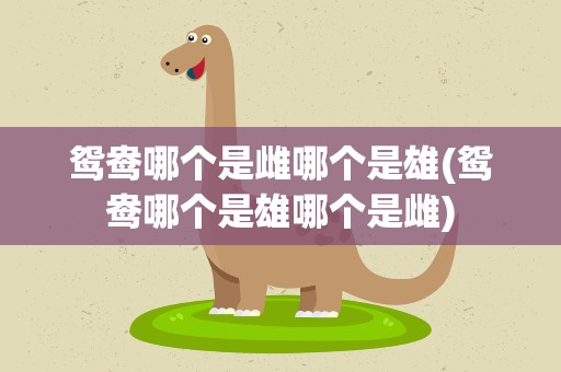 鸳鸯哪个是雌哪个是雄(鸳鸯哪个是雄哪个是雌)