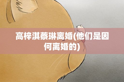 高梓淇蔡琳离婚(他们是因何离婚的)