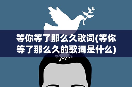 等你等了那么久歌词(等你等了那么久的歌词是什么)