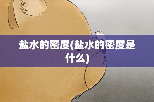 盐水的密度(盐水的密度是什么)