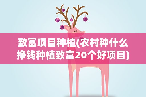 致富项目种植(农村种什么挣钱种植致富20个好项目)