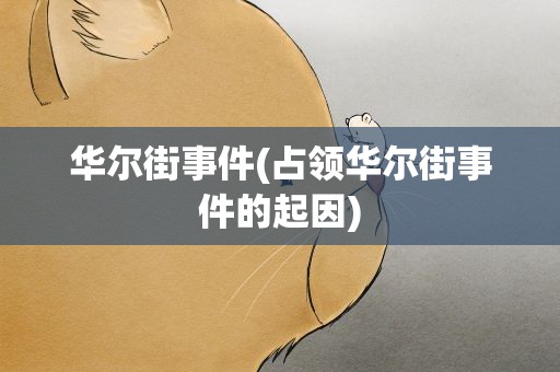 华尔街事件(占领华尔街事件的起因)
