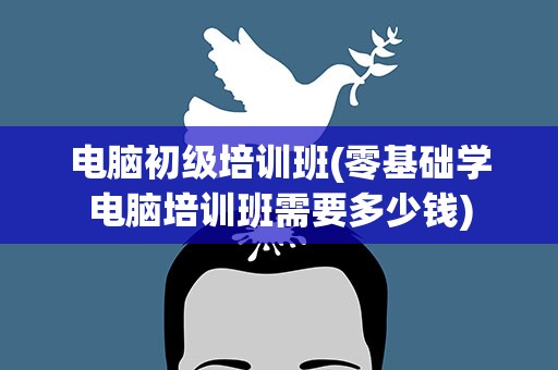 电脑初级培训班(零基础学电脑培训班需要多少钱)