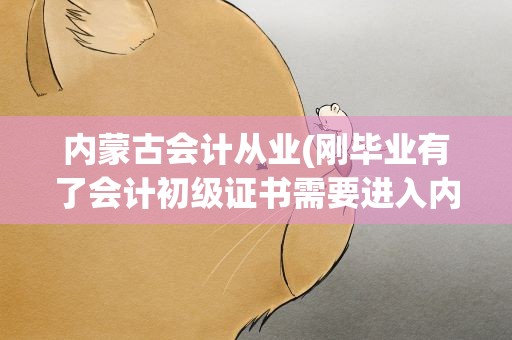 内蒙古会计从业(刚毕业有了会计初级证书需要进入内蒙古会计人员信息网吗)