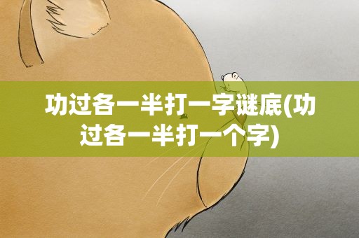 功过各一半打一字谜底(功过各一半打一个字)