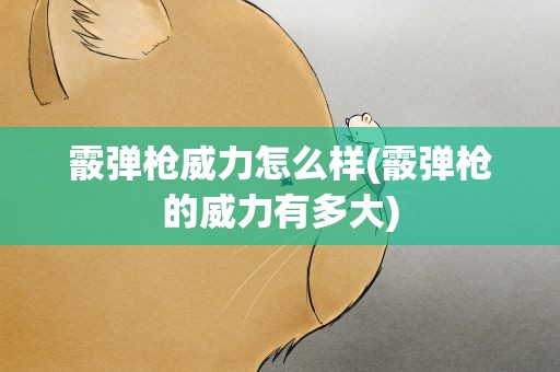 霰弹枪威力怎么样(霰弹枪的威力有多大)