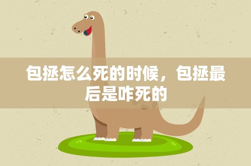 包拯怎么死的时候，包拯最后是咋死的