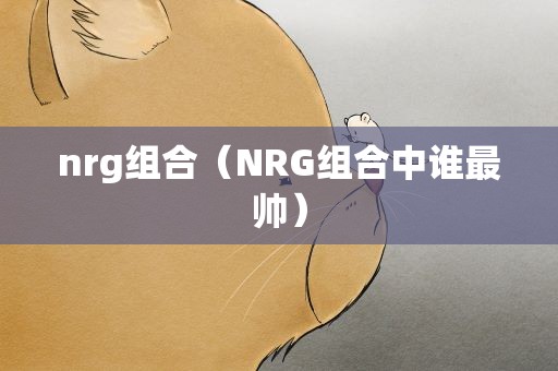 nrg组合（NRG组合中谁最帅）