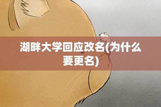 湖畔大学回应改名(为什么要更名)