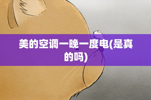 美的空调一晚一度电(是真的吗)