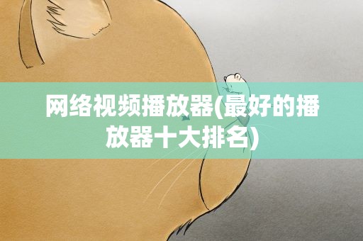 网络视频播放器(最好的播放器十大排名)
