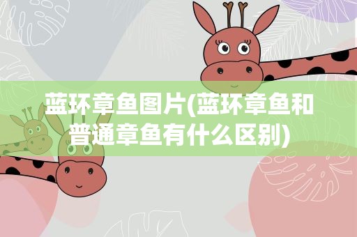 蓝环章鱼图片(蓝环章鱼和普通章鱼有什么区别)
