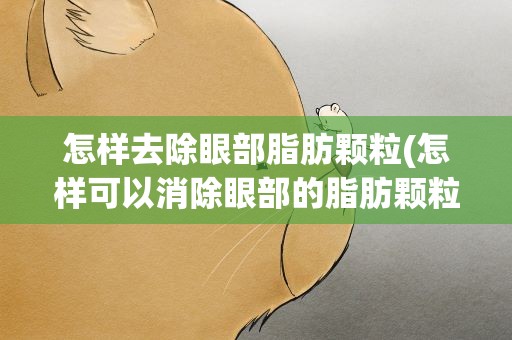 怎样去除眼部脂肪颗粒(怎样可以消除眼部的脂肪颗粒)