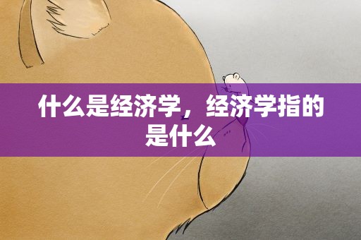 什么是经济学，经济学指的是什么