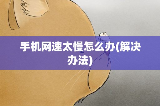 手机网速太慢怎么办(解决办法)
