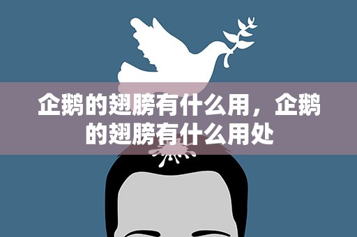 企鹅的翅膀有什么用，企鹅的翅膀有什么用处