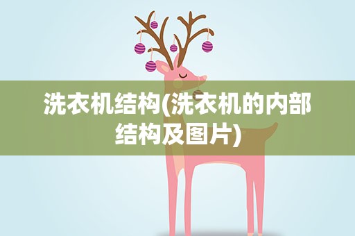 洗衣机结构(洗衣机的内部结构及图片)