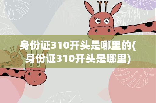 身份证310开头是哪里的(身份证310开头是哪里)