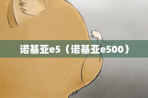 诺基亚e5（诺基亚e500）