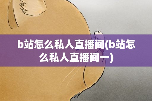 b站怎么私人直播间(b站怎么私人直播间一)