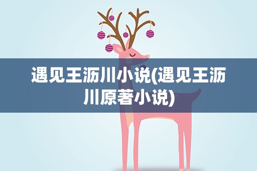 遇见王沥川小说(遇见王沥川原著小说)