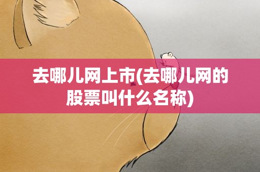 去哪儿网上市(去哪儿网的股票叫什么名称)