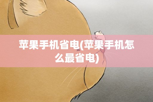 苹果手机省电(苹果手机怎么最省电)