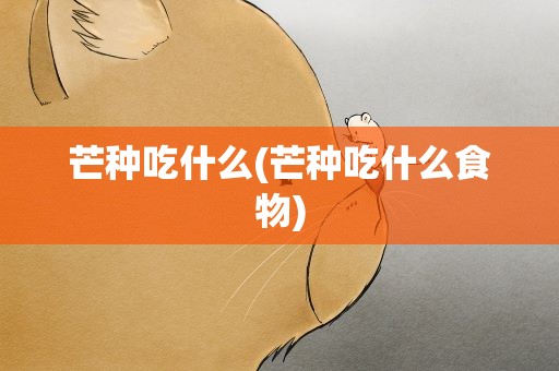 芒种吃什么(芒种吃什么食物)