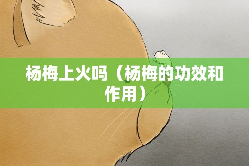 杨梅上火吗（杨梅的功效和作用）