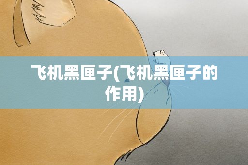 飞机黑匣子(飞机黑匣子的作用)