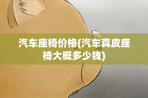 汽车座椅价格(汽车真皮座椅大概多少钱)