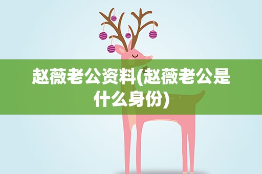 赵薇老公资料(赵薇老公是什么身份)
