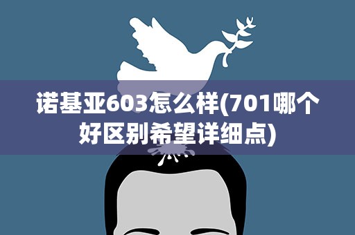 诺基亚603怎么样(701哪个好区别希望详细点)