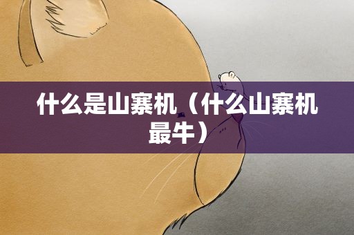 什么是山寨机（什么山寨机最牛）