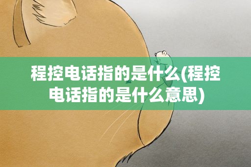 程控电话指的是什么(程控电话指的是什么意思)
