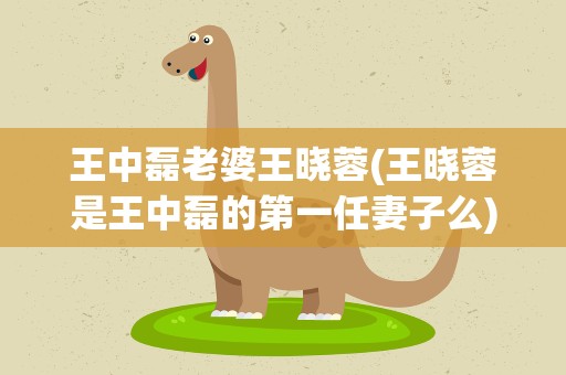 王中磊老婆王晓蓉(王晓蓉是王中磊的第一任妻子么)